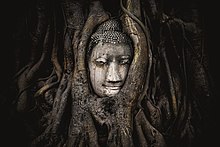 [1] eingewachsene Statue Buddhas in Thailand