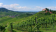 [1] Blick auf ein Weingut