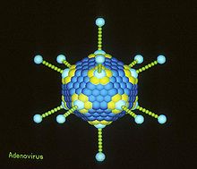 [1] Modell eines Virus