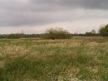 [1] landwirtschaftliche Brache