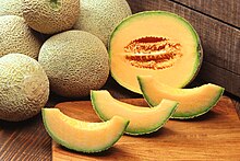 [1a] Zuckermelone (Cucumis melo)