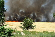 [1] Flächenbrand eines Kornfelds nahe Bautzen