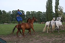 [1] Ein Csikós führt ein Gespann aus drei Schimmeln