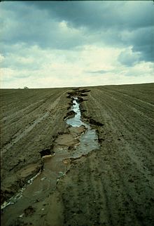 [1] Hier kann man dem Prozess der Erosion auf einem deutschen Acker zuschauen: Erde wird in den nächsten Fluss und schließlich ins Meer gespült.