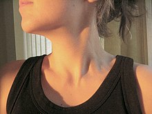 [1] Der Hals einer Frau