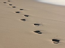 [1] Fußabdrücke im Sand