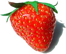 [1] eine Erdbeere