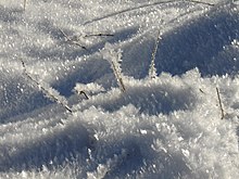 [1] Frost auf einem Stück Wiese