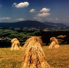 [1] Garben auf dem Feld