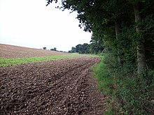 [1] Blick entlang des Waldrands