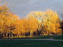 [1] Herbst im Prater