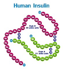 [1] Insulin