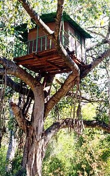 [1] Ein traditionelles Baumhaus.
