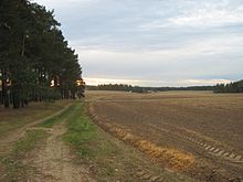 [2] Bauland mit Traktorspuren