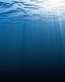 [2] Die Helligkeit nimmt im Wasser mit zunehmender Tiefe ab.