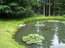 [1] ein Teich