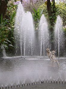 [1] Springbrunnen