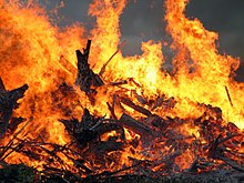 [1, 3] Feuer zum Mittsommerfest in Mäntsälä, Finnland