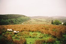 [1] Die typische Landschaft der Insel Mull im Frühjahr