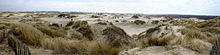 [1] Panorama der bewachsenen Dünen von De Panne, Belgien;
Aufnahme von Benutzerin Elke Wetzig am 26. Februar 2005