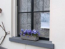 Fensterbank mit Blumen
