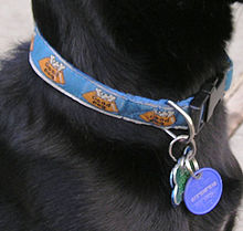 [1b] Halsband eines Hundes