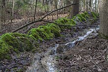 [1] Steinerne, natürliche Rinne eines Bachlaufes