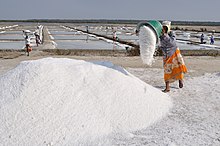 [1] Eine Frau schüttet in einer Saline in Indien Salz auf einen Haufen.