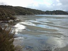 [1] Wattenmeer bei Oban on Stewart Island, New Zealand