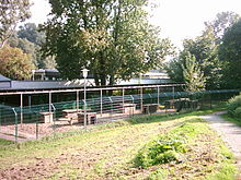 [2] ein Zwinger des Hamburger Tierschutzvereins in Hamburg-Hamm