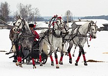 [1] Eine russische Troika