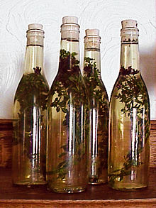 [1] vier Flaschen Essig mit Oreganozweigen