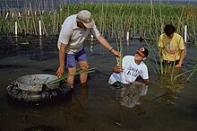 [1] Naturschutz heißt auch, sich aktiv für die Umwelt zu engagieren.