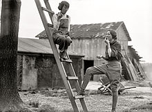 [1] „Kriegsgärtnerinnen“ an und auf einer Leiter während einer Arbeitspause; Aufnahme: 1918, USA