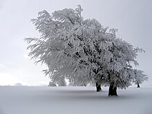 [1] schneebedeckte Landschaft im Winter